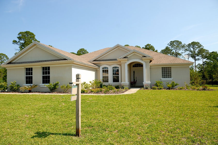 New Home